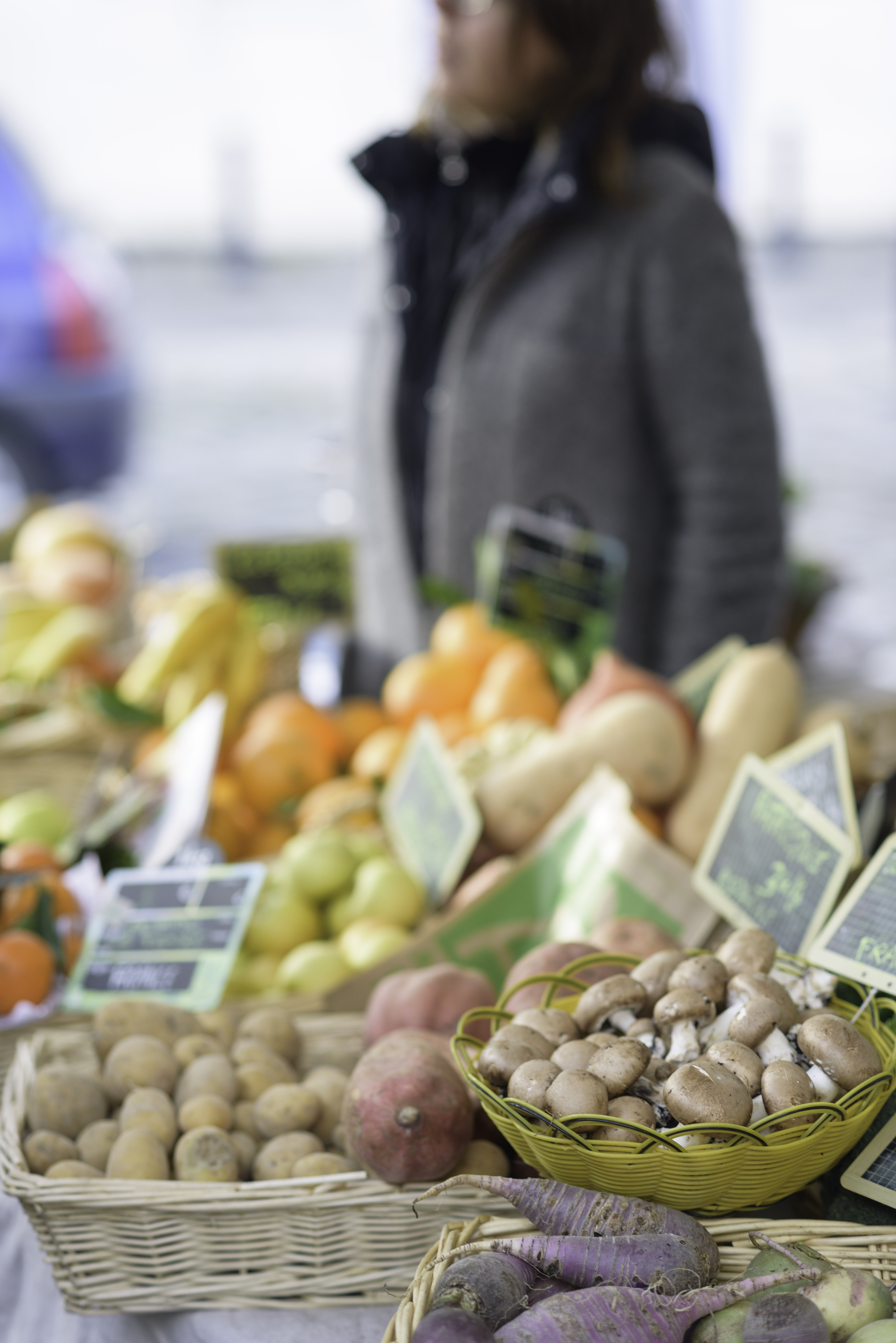 M S MARQUES CHAMPIGNY visual data 8